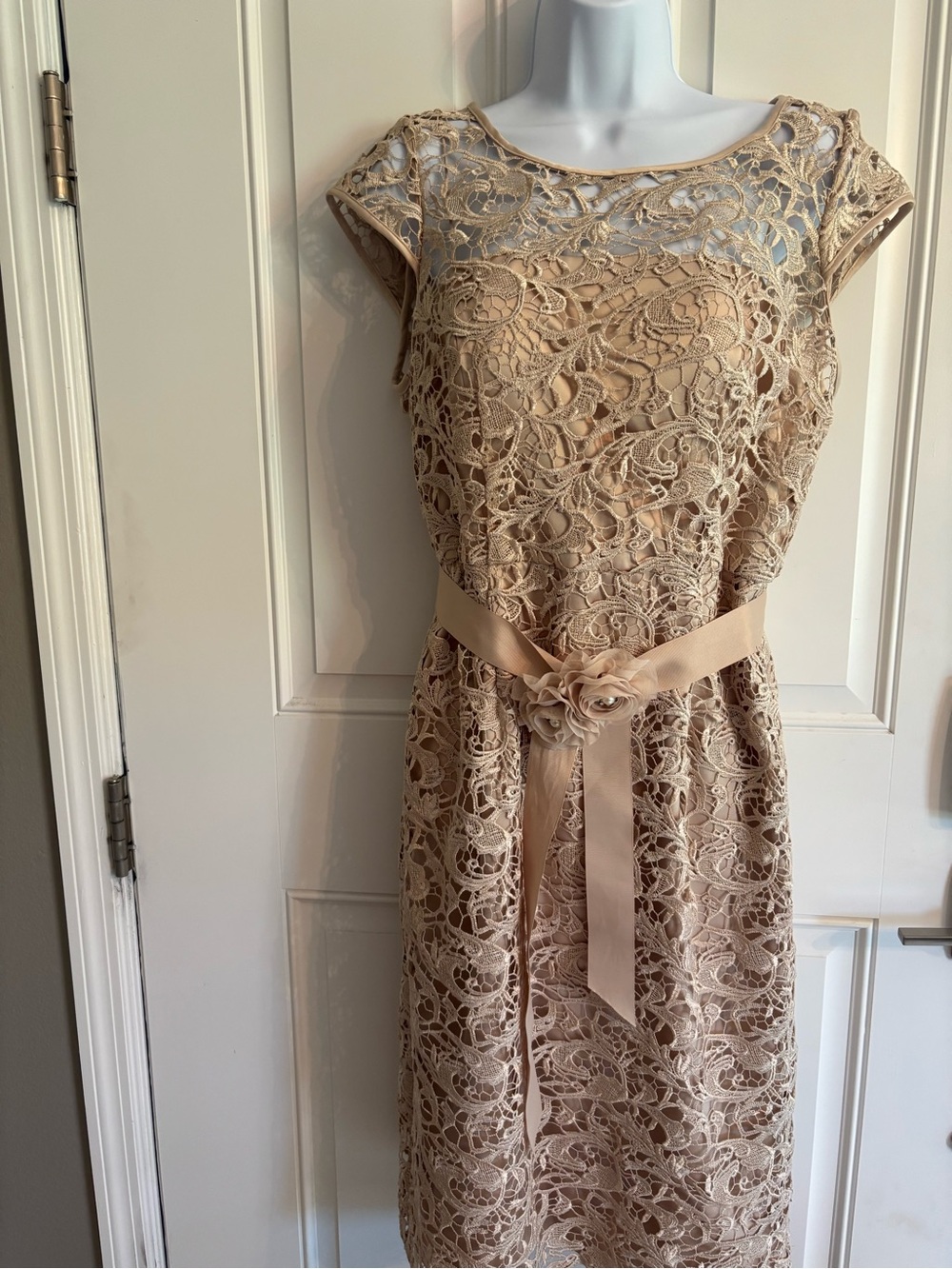 Adrianna Papell Beige Floral Lace Midi Dress with Ribbon Waist